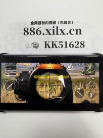 超级逗萌兽宗门推荐选择攻略